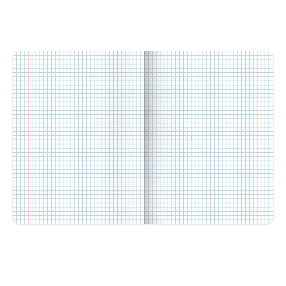 Тетради предметные, КОМПЛЕКТ 12 ПРЕДМЕТОВ, 48 л., TWIN-лак, BRAUBERG, "КОТ-ЭНТУЗИАСТ"