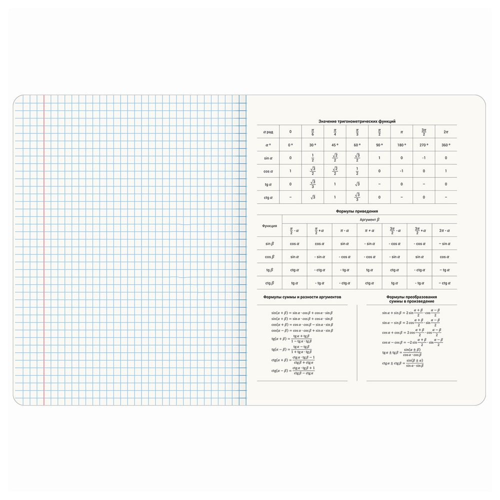 Тетради предметные, КОМПЛЕКТ 12 ПРЕДМЕТОВ, 48 л., TWIN-лак, BRAUBERG, "КОТ-ЭНТУЗИАСТ"