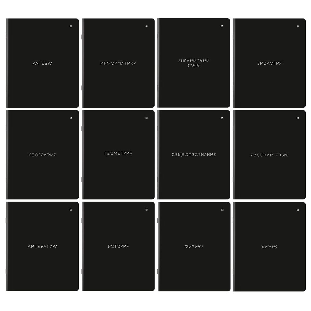 Тетради предметные, КОМПЛЕКТ 12 ПРЕДМЕТОВ, 48 л., матовая ламинация, BRAUBERG, "MINIMAL"