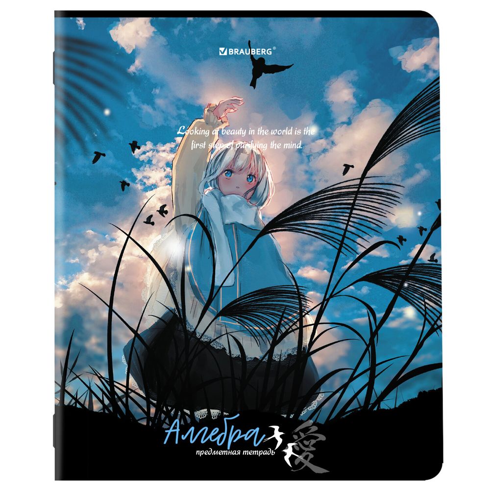 Тетради предметные, КОМПЛЕКТ 12 ПРЕДМЕТОВ, 48 л., матовая ламинация, BRAUBERG, "ANIME GIRLS"