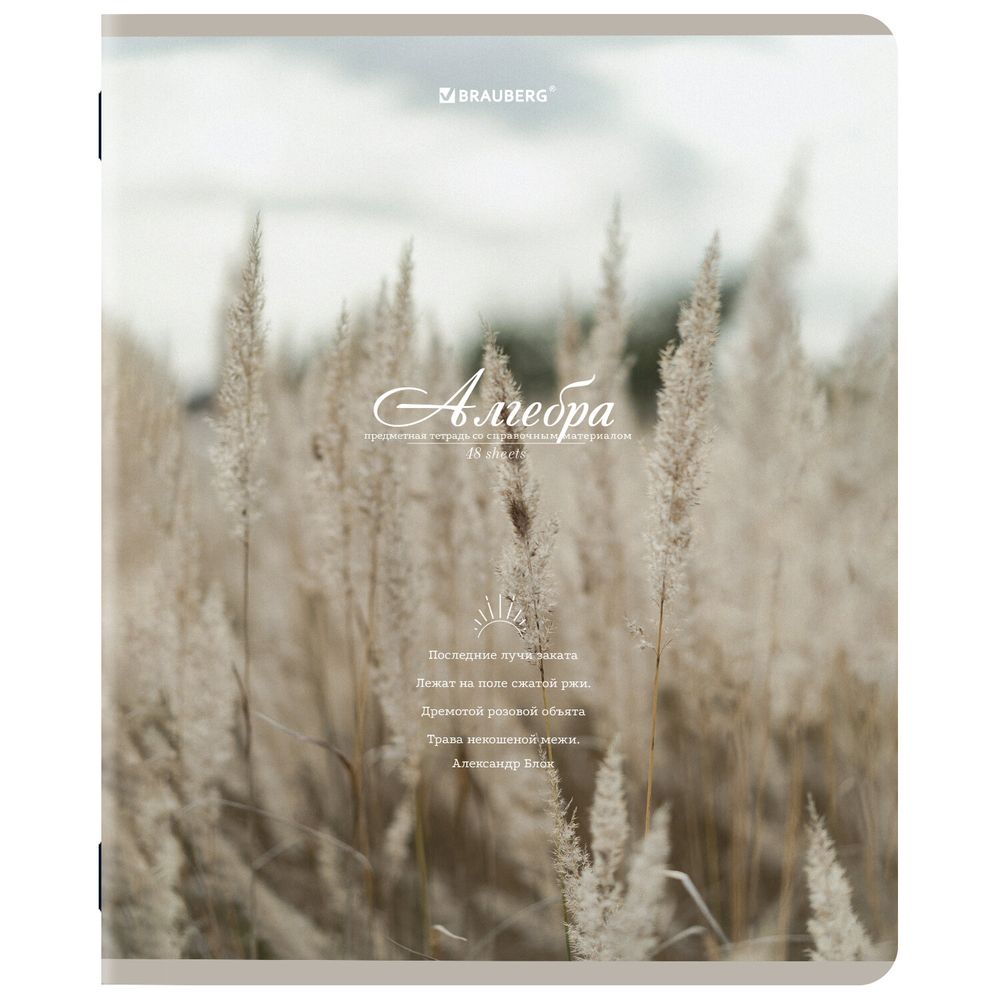 Тетради предметные, КОМПЛЕКТ 12 ПРЕДМЕТОВ, 48 л., SoftTouch, BRAUBERG, "ESTHETICS"