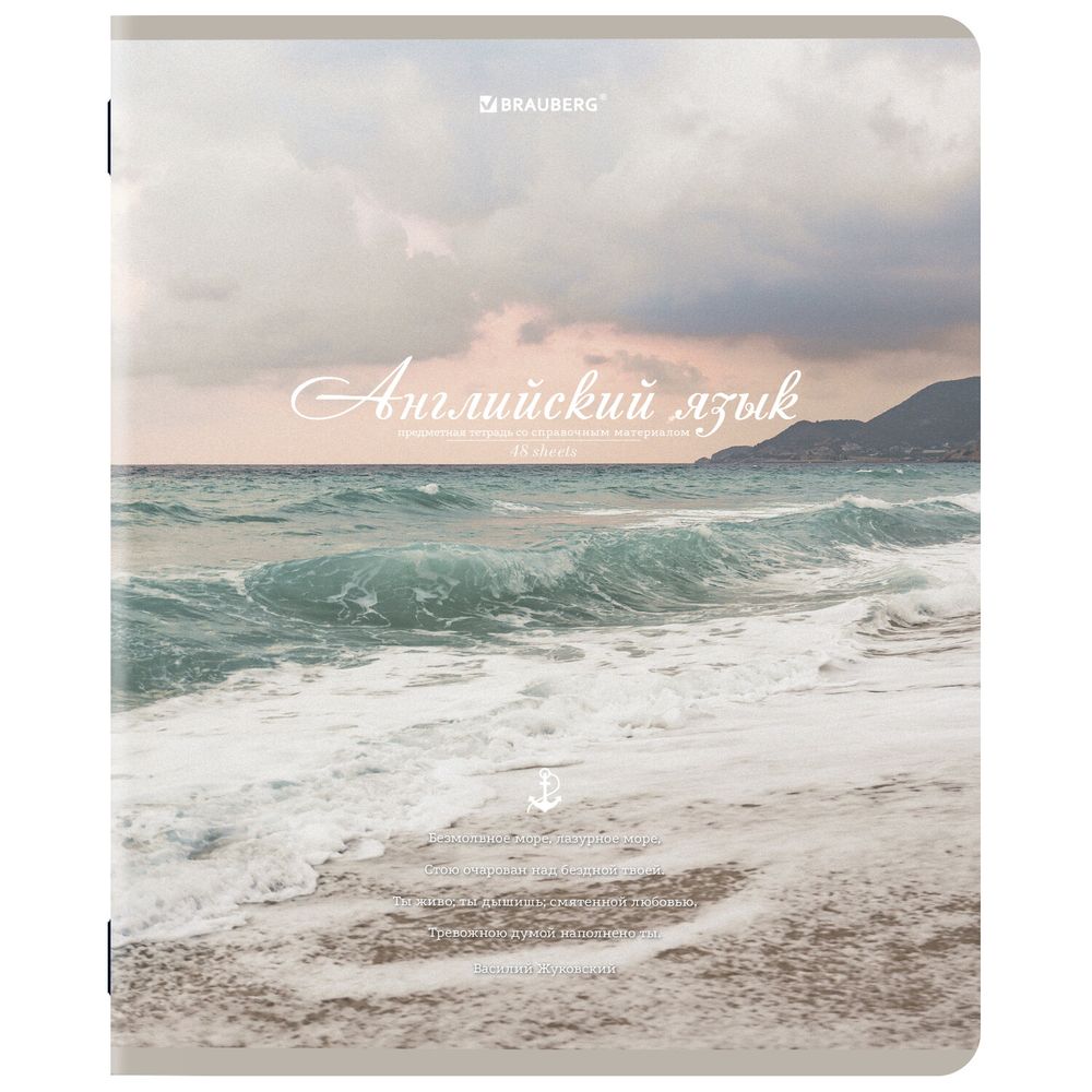 Тетради предметные, КОМПЛЕКТ 12 ПРЕДМЕТОВ, 48 л., SoftTouch, BRAUBERG, "ESTHETICS"