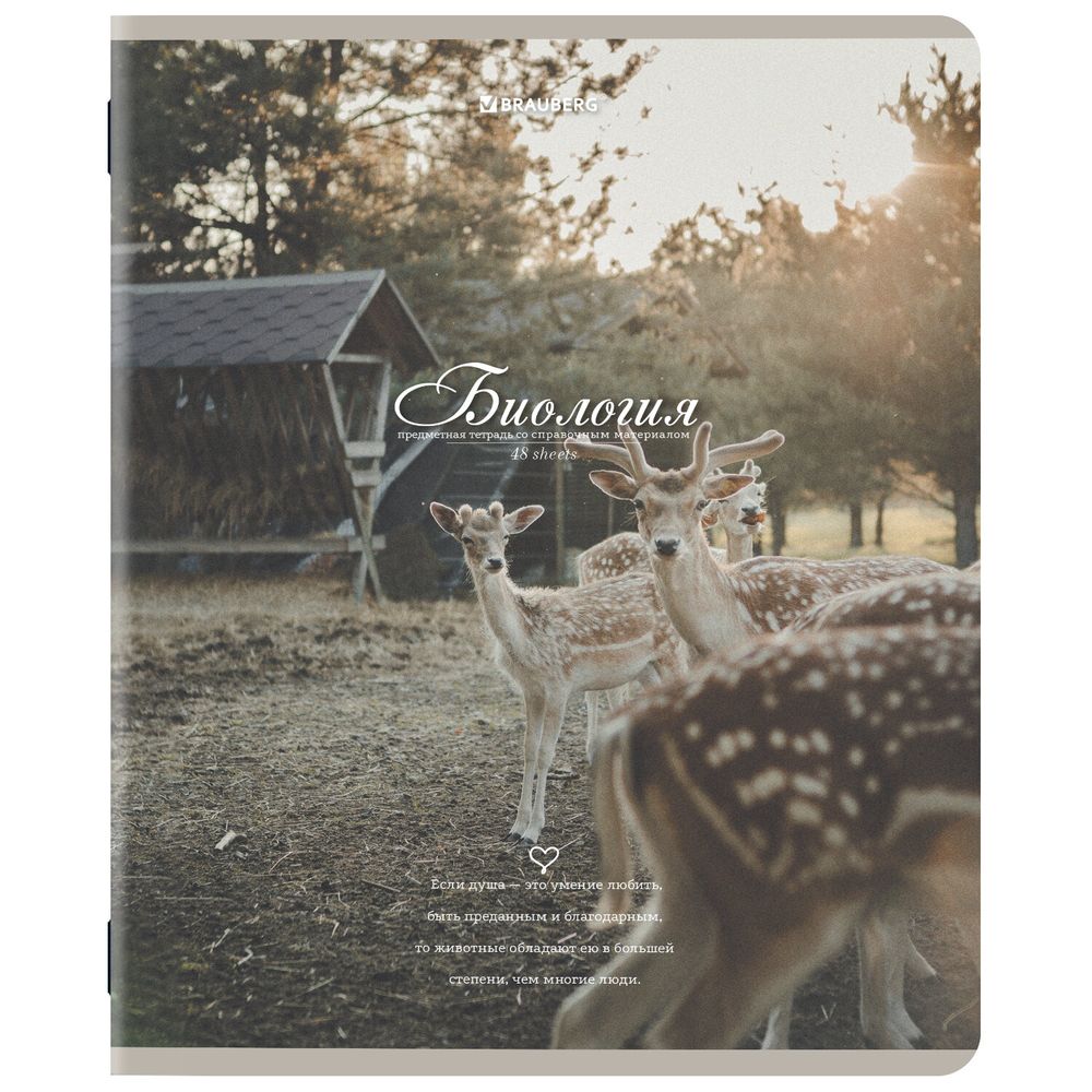 Тетради предметные, КОМПЛЕКТ 12 ПРЕДМЕТОВ, 48 л., SoftTouch, BRAUBERG, "ESTHETICS"