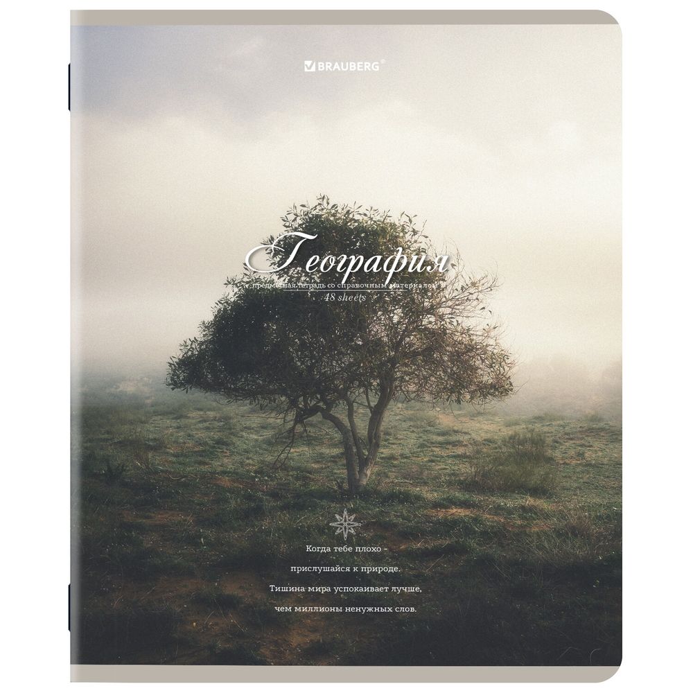 Тетради предметные, КОМПЛЕКТ 12 ПРЕДМЕТОВ, 48 л., SoftTouch, BRAUBERG, "ESTHETICS"