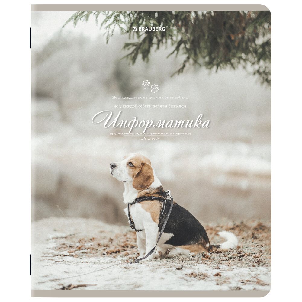 Тетради предметные, КОМПЛЕКТ 12 ПРЕДМЕТОВ, 48 л., SoftTouch, BRAUBERG, "ESTHETICS"