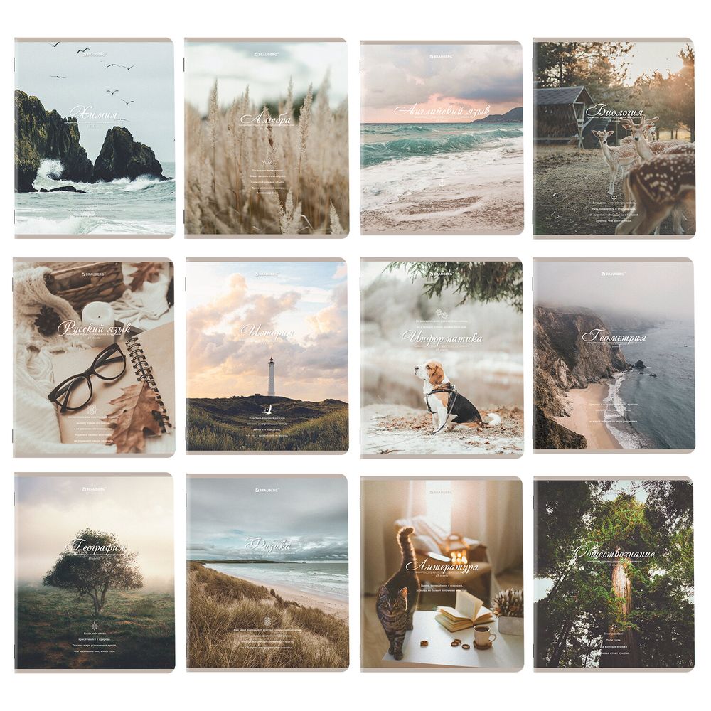 Тетради предметные, КОМПЛЕКТ 12 ПРЕДМЕТОВ, 48 л., SoftTouch, BRAUBERG, "ESTHETICS"