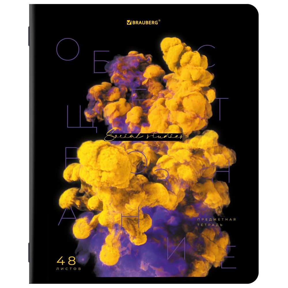 Тетради предметные, КОМПЛЕКТ 12 ПРЕДМЕТОВ, 48 л., глянцевый УФ-лак, BRAUBERG, "PIGMENT"