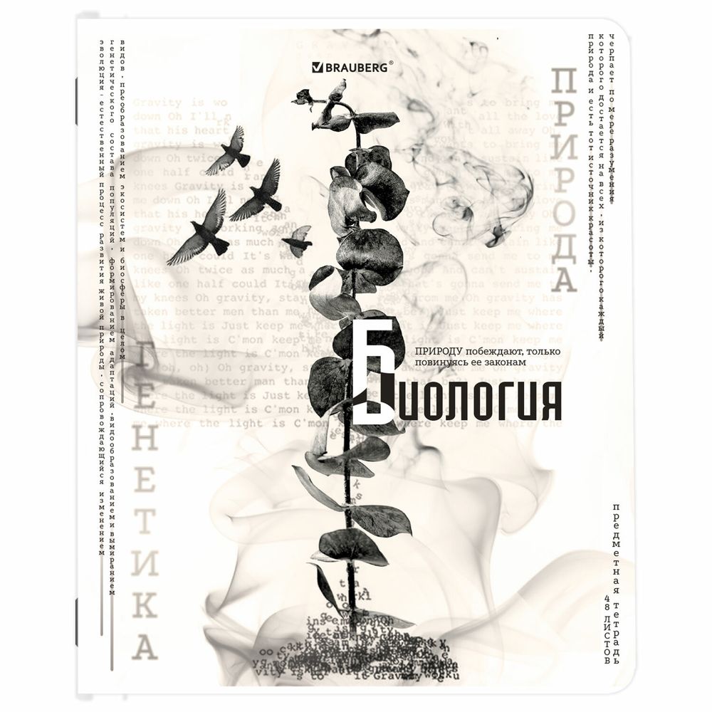 Тетради предметные, КОМПЛЕКТ 12 ПРЕДМЕТОВ, 48 л., матовая ламинация, BRAUBERG, "BLACK&WHITE"