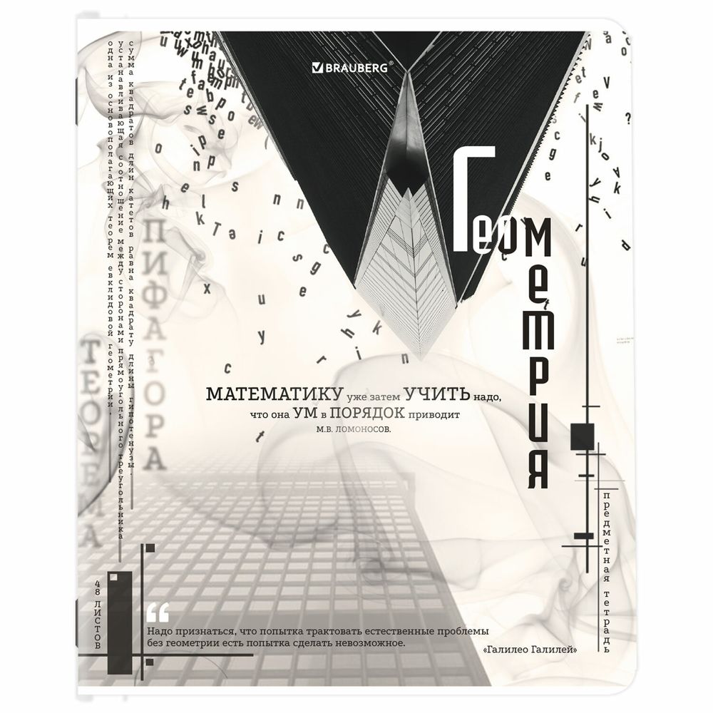 Тетради предметные, КОМПЛЕКТ 12 ПРЕДМЕТОВ, 48 л., матовая ламинация, BRAUBERG, "BLACK&WHITE"