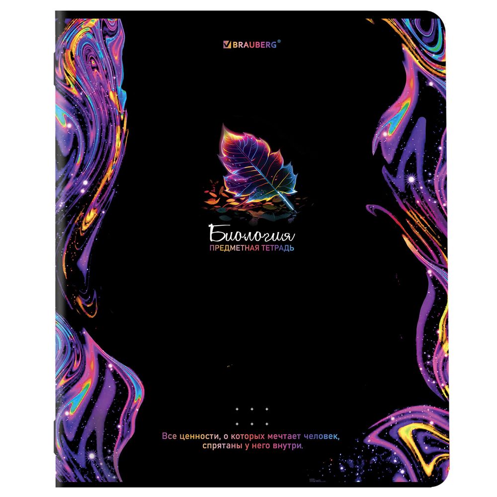 Тетради предметные, КОМПЛЕКТ 12 ПРЕДМЕТОВ, 48 л., глянцевый УФ-лак, BRAUBERG, "BLUR"