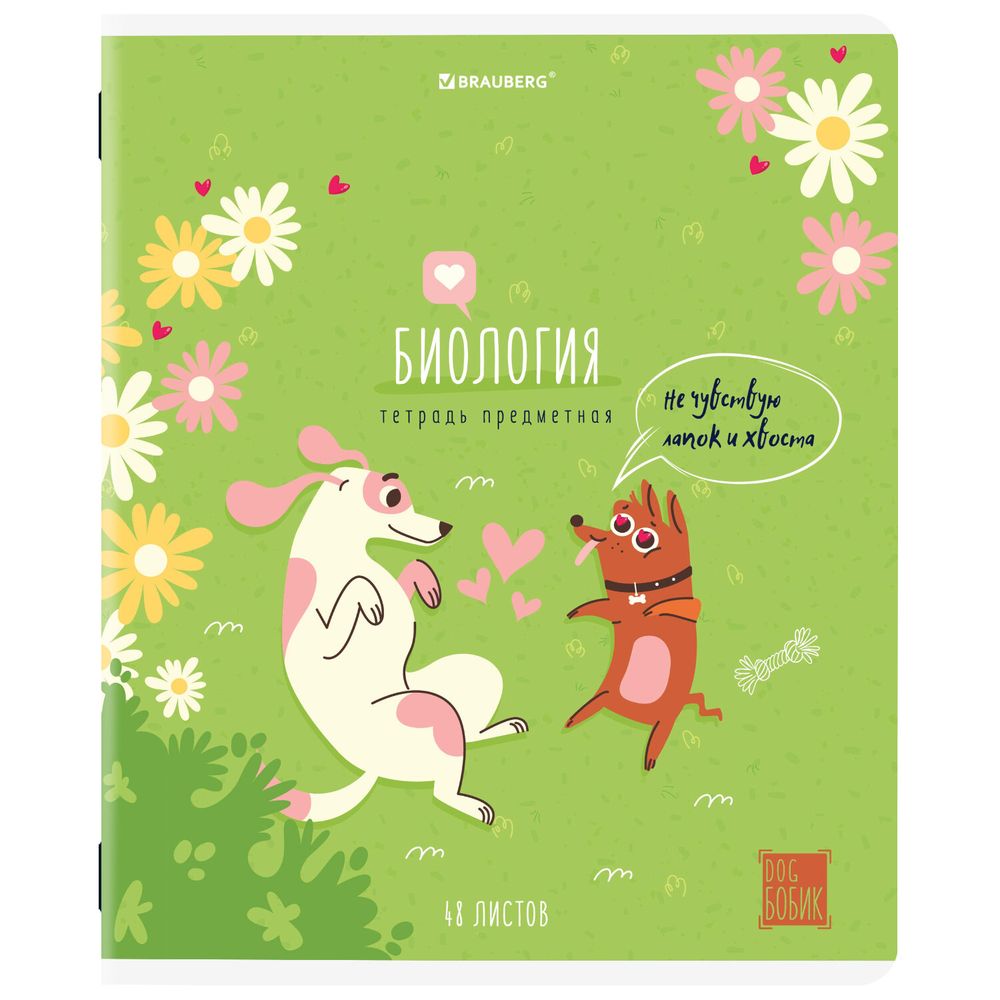 Тетради предметные, КОМПЛЕКТ 12 ПРЕДМЕТОВ, 48 л., TWIN-лак, BRAUBERG, "DOG БОБИК"