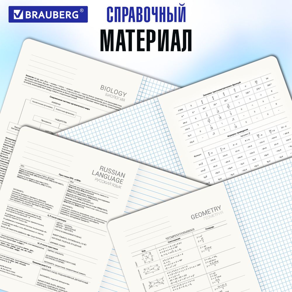Тетради предметные, КОМПЛЕКТ 12 ПРЕДМЕТОВ, 48 л., матовая ламинация, лак, BRAUBERG, "CALM"