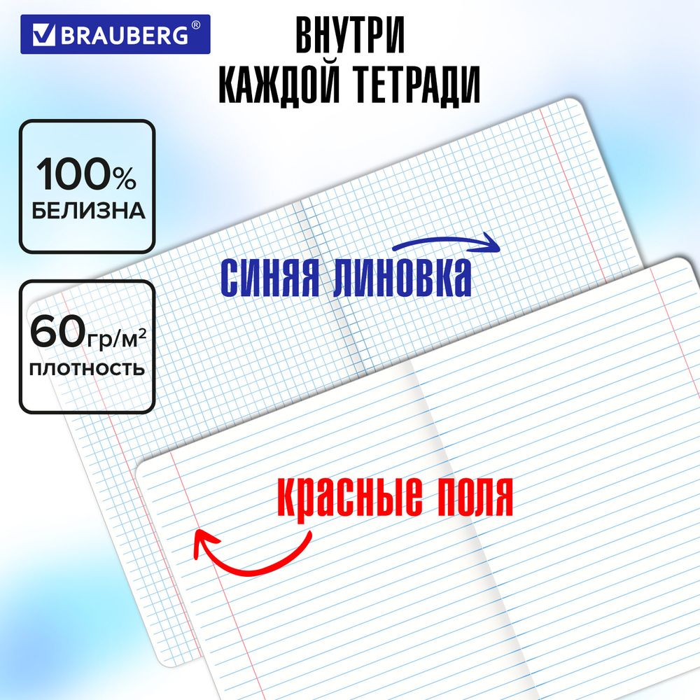 Тетради предметные, КОМПЛЕКТ 12 ПРЕДМЕТОВ, 48 л., матовая ламинация, лак, BRAUBERG, "CALM"