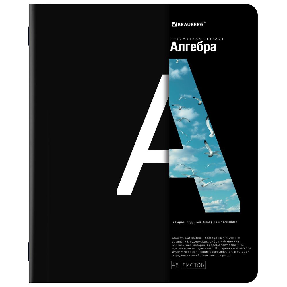 Тетради предметные, КОМПЛЕКТ 12 ПРЕДМЕТОВ, 48 л., матовая ламинация, BRAUBERG, "INTELLIGENCE"