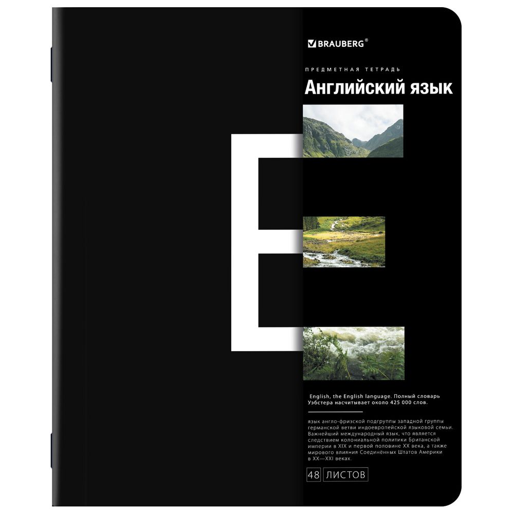 Тетради предметные, КОМПЛЕКТ 12 ПРЕДМЕТОВ, 48 л., матовая ламинация, BRAUBERG, "INTELLIGENCE"