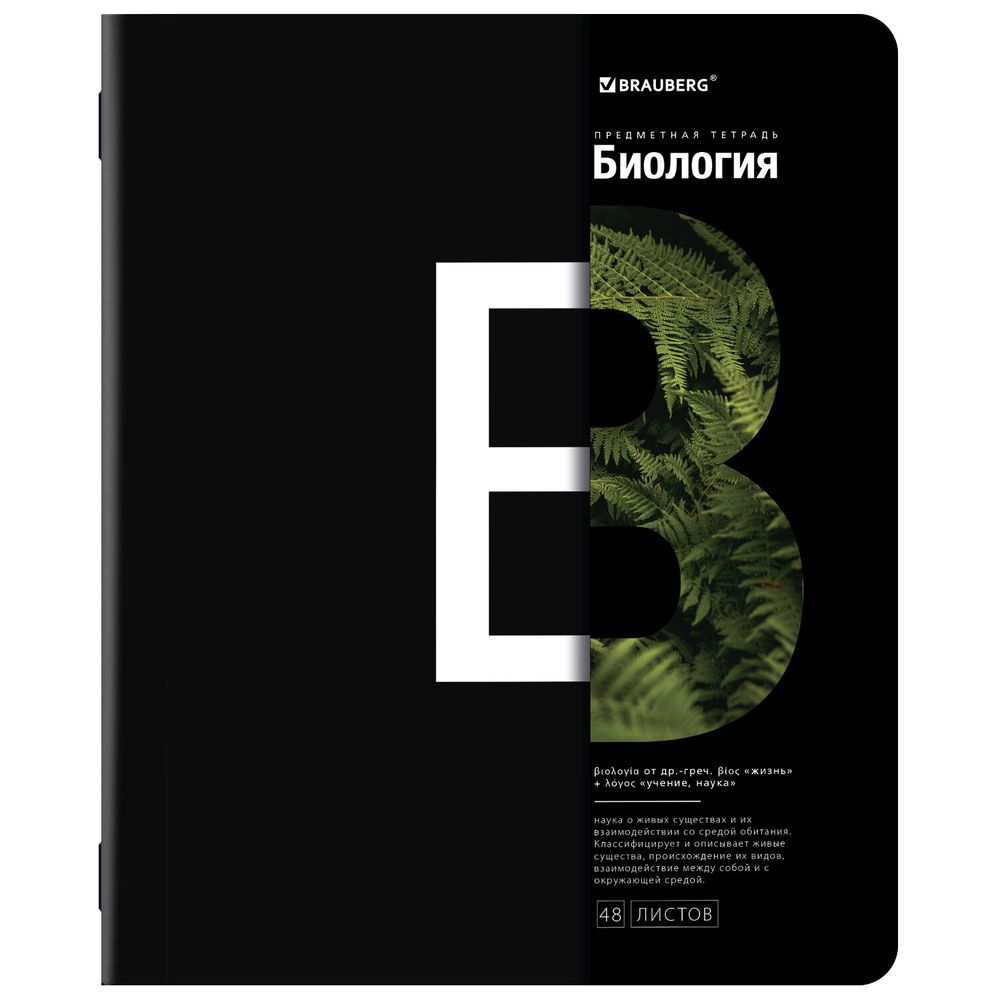 Тетради предметные, КОМПЛЕКТ 12 ПРЕДМЕТОВ, 48 л., матовая ламинация, BRAUBERG, "INTELLIGENCE"