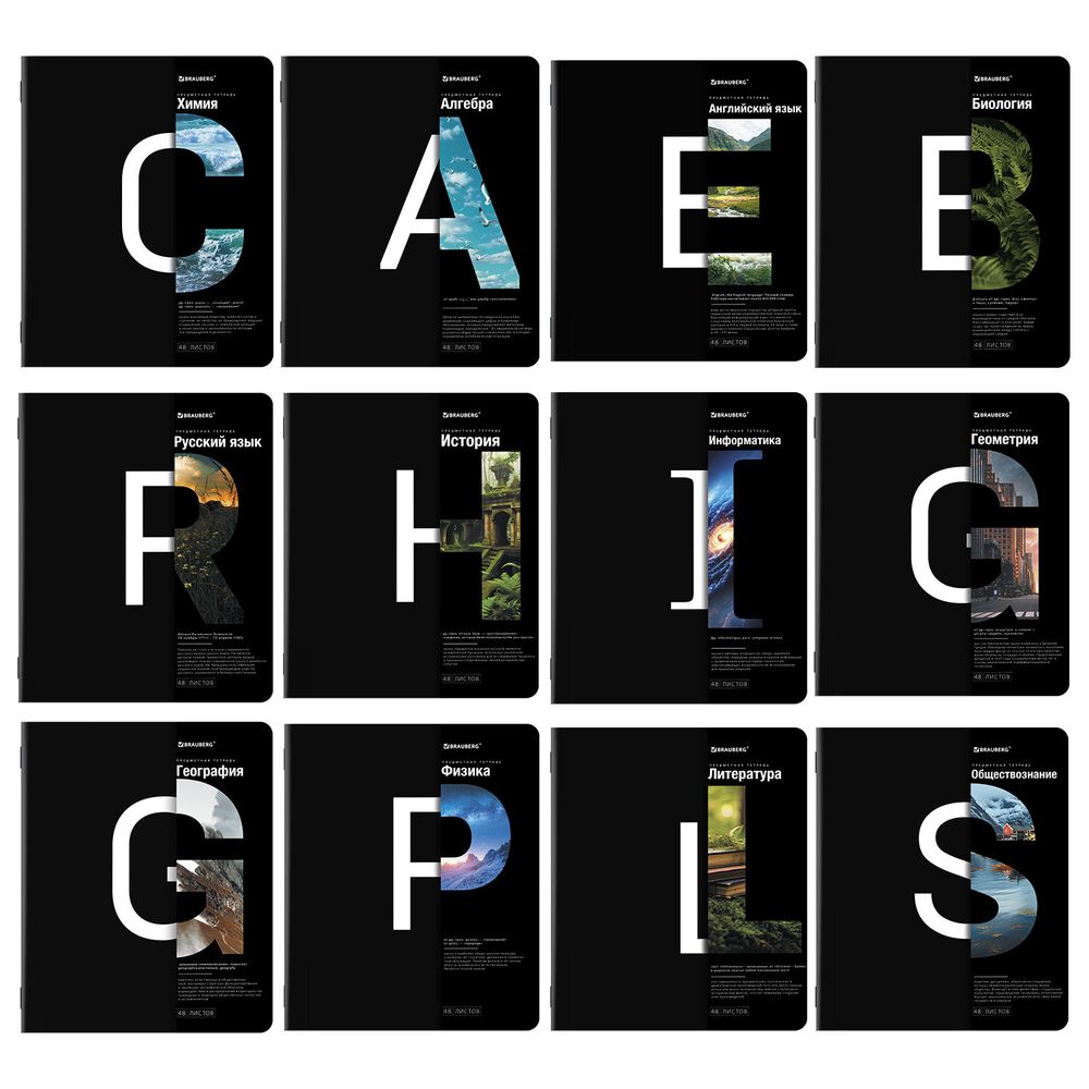 Тетради предметные, КОМПЛЕКТ 12 ПРЕДМЕТОВ, 48 л., матовая ламинация, BRAUBERG, "INTELLIGENCE"