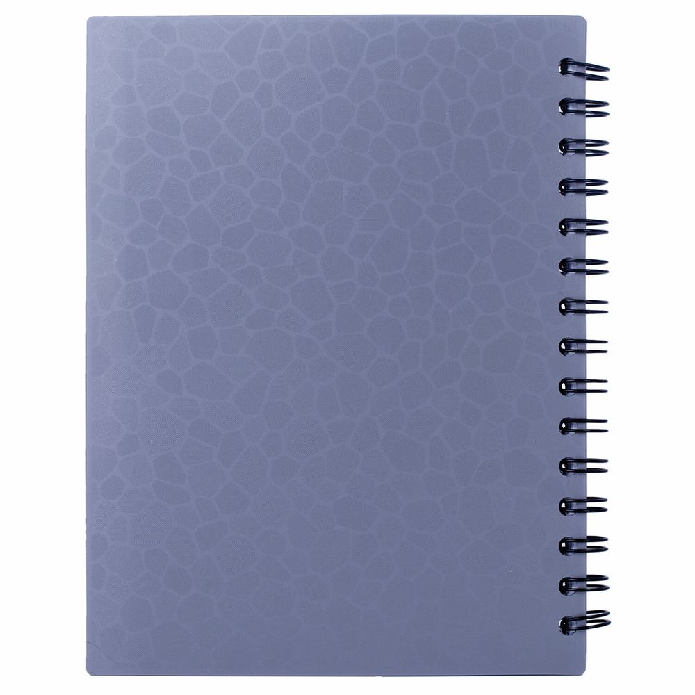 Тетрадь-блокнот 120 л., A5, 170x215 мм, BRAUBERG, линия, гребень, обложка пластиковая, 4 разделителя, "Rich"