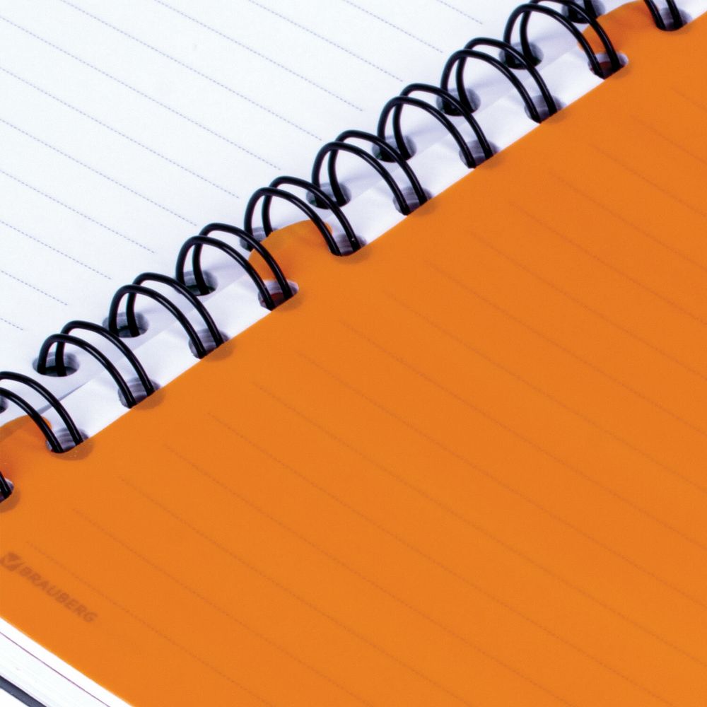 Тетрадь-блокнот 120 л., A5, 170x215 мм, BRAUBERG, линия, гребень, обложка пластиковая, 4 разделителя, "Rich"