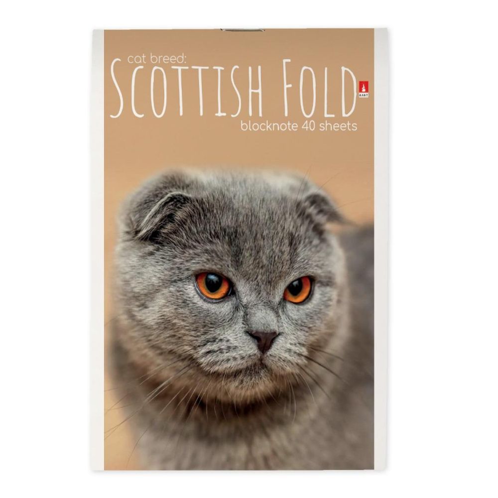 Блокнот 40л, А6, клетка, скрепка, Альт