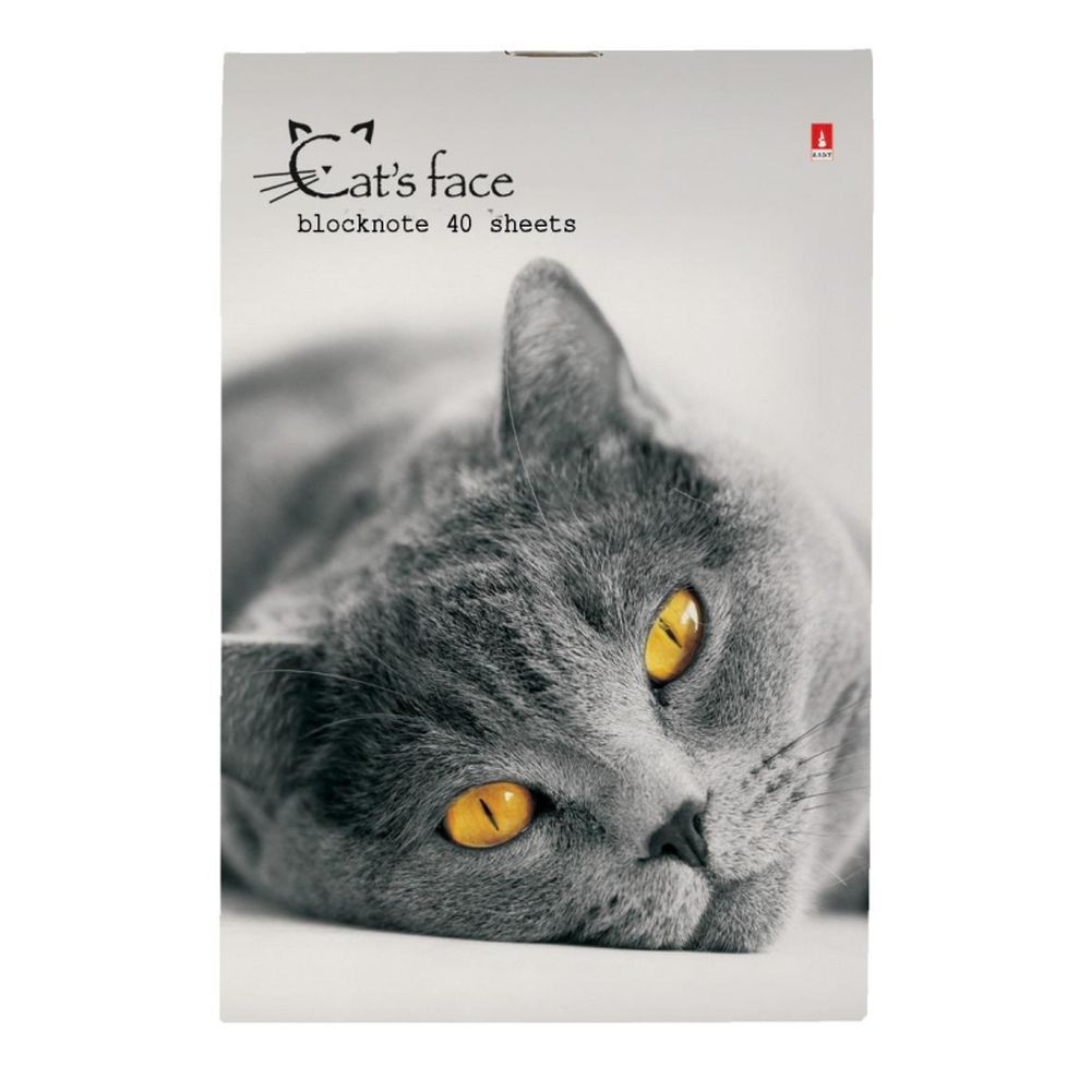 Блокнот 40л, А6, клетка, скрепка, Альт