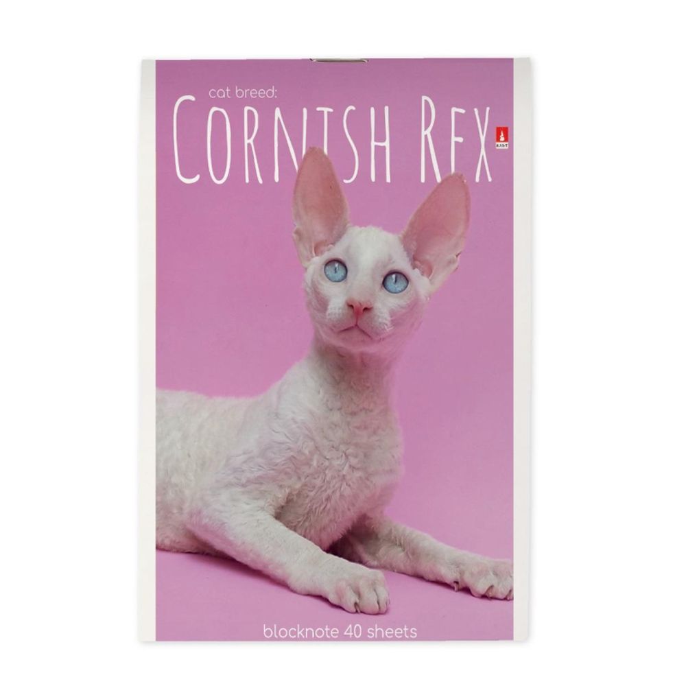 Блокнот 40л, А6, клетка, скрепка, Альт