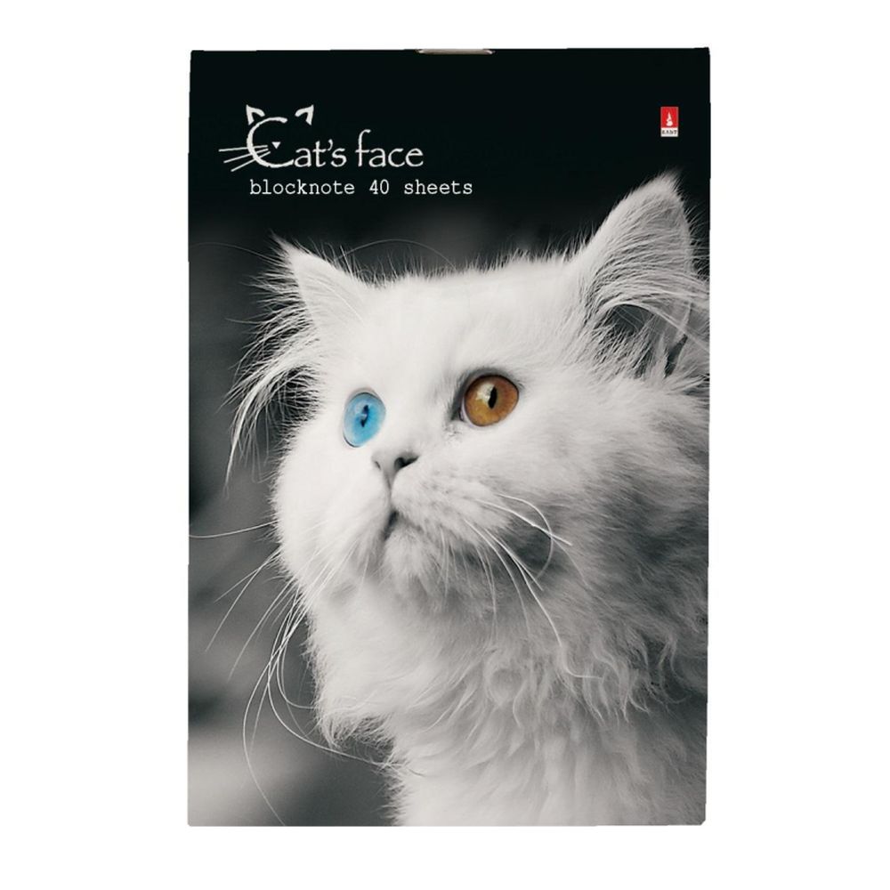 Блокнот 40л, А6, клетка, скрепка, Альт