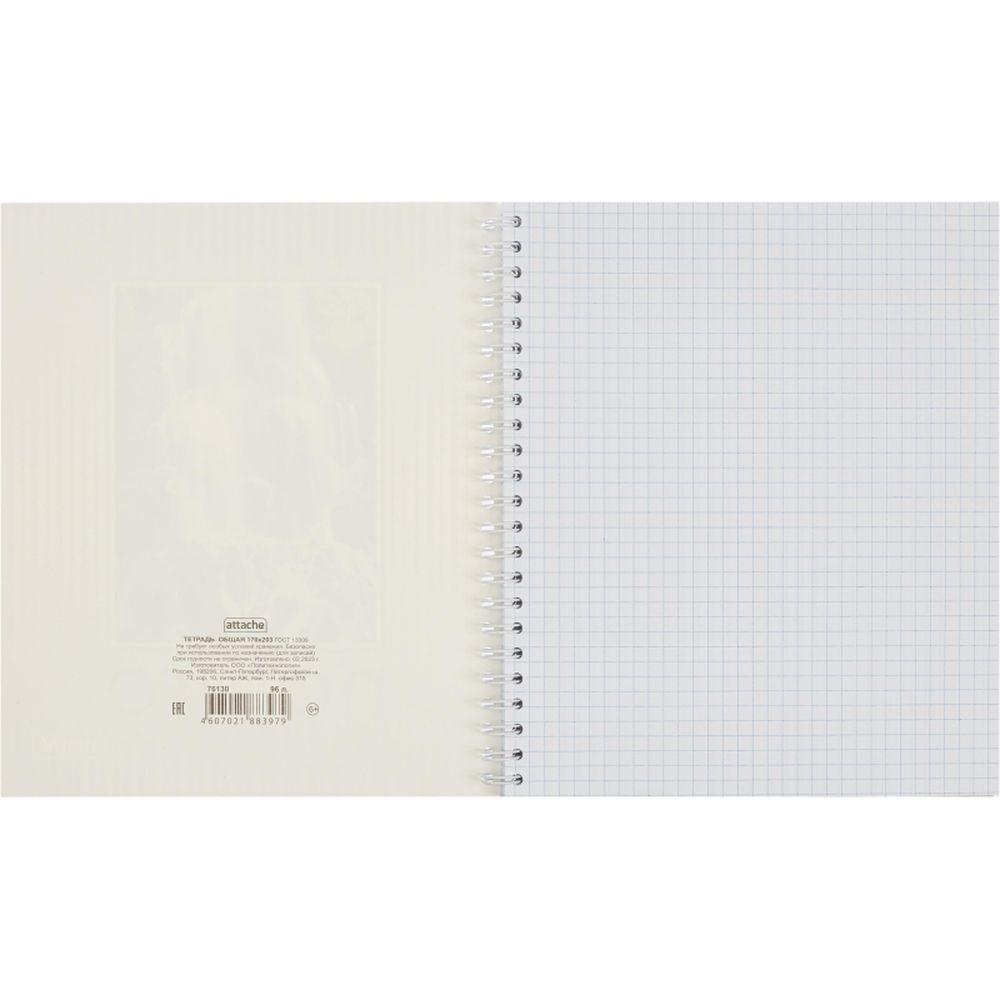 Тетрадь 96л, А5, клетка, спираль, Attache Nature