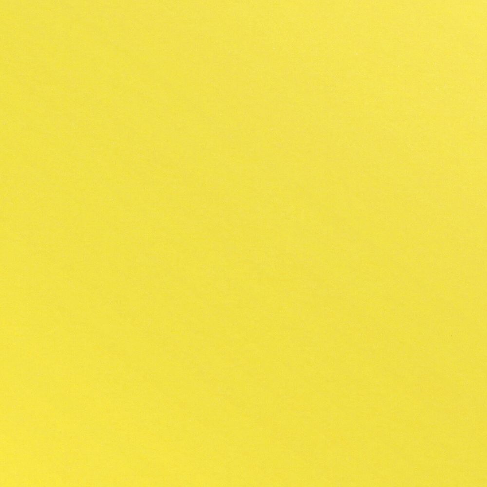 Картон цветной А4 ТОНИРОВАННЫЙ В МАССЕ, 48 листов 16 цветов (+ неон), склейка