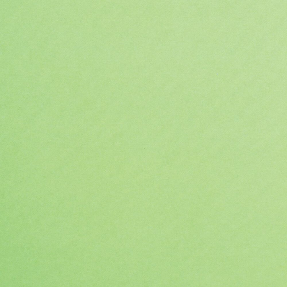 Картон цветной А4 ТОНИРОВАННЫЙ В МАССЕ, 50 листов, ЗЕЛЕНЫЙ, 220 г/м2, BRAUBERG