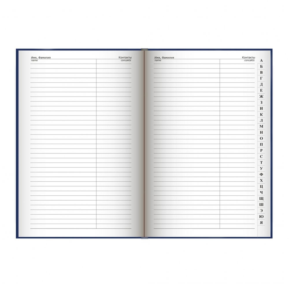 Алфавитная книга А5, 148х210, АЛЬТ Балакрон, 80л, синяя