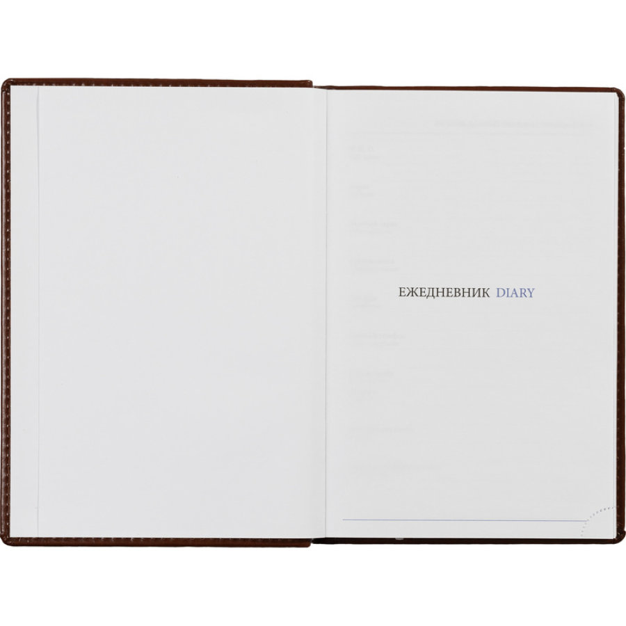 Ежедневник недатированный, коричн, А5, 148x218, 352стр, Agenda
