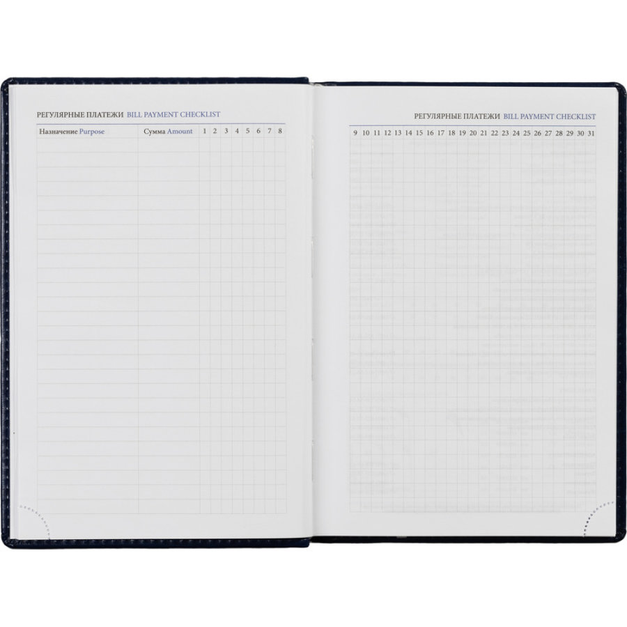 Ежедневник недатированный, синий, А5, 148x218, 352стр, Agenda