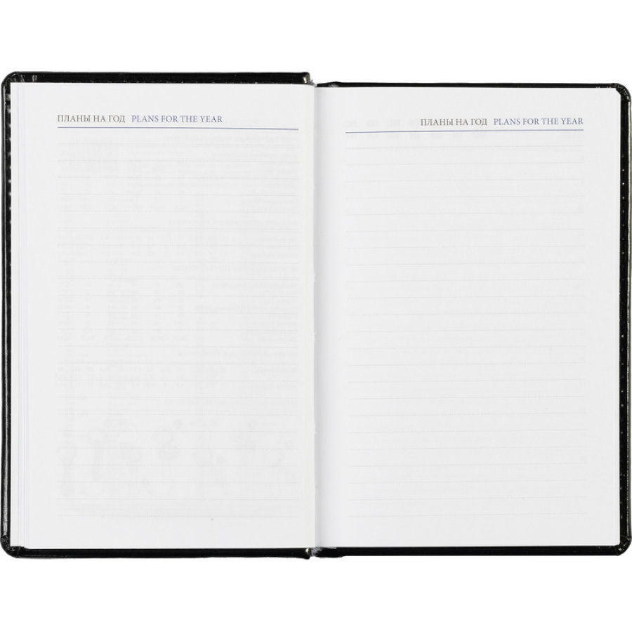 Ежедневник недатированный, черн, А6, 100x150, 320стр, Agenda