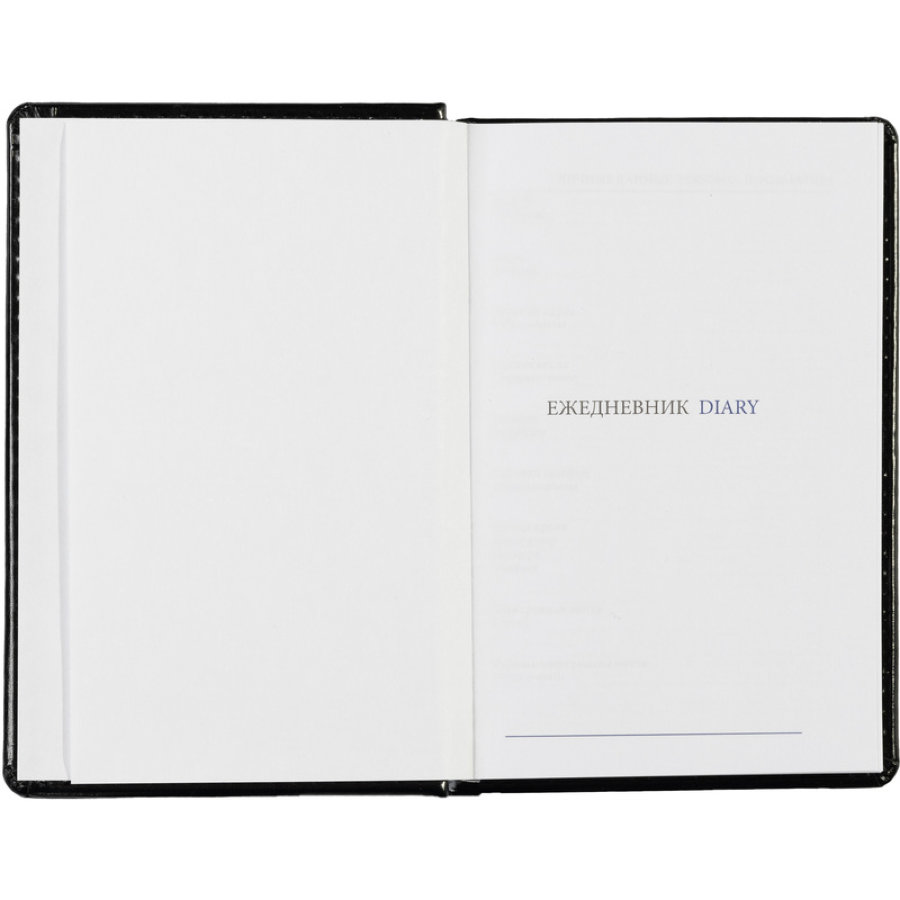 Ежедневник недатированный, черн, А6, 100x150, 320стр, Agenda