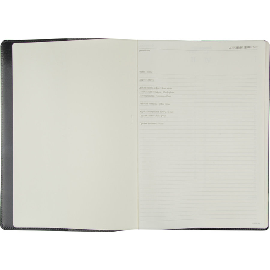 Еженедельник недатированный, черный, кожа, A4, , 64л, Br.V.PROFY