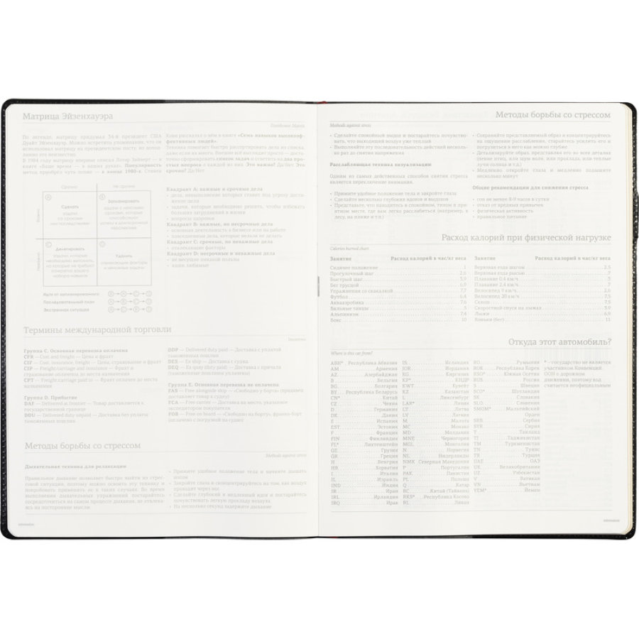 Еженедельник недатированный, черный, кожа, A4, , 64л, Br.V.PROFY