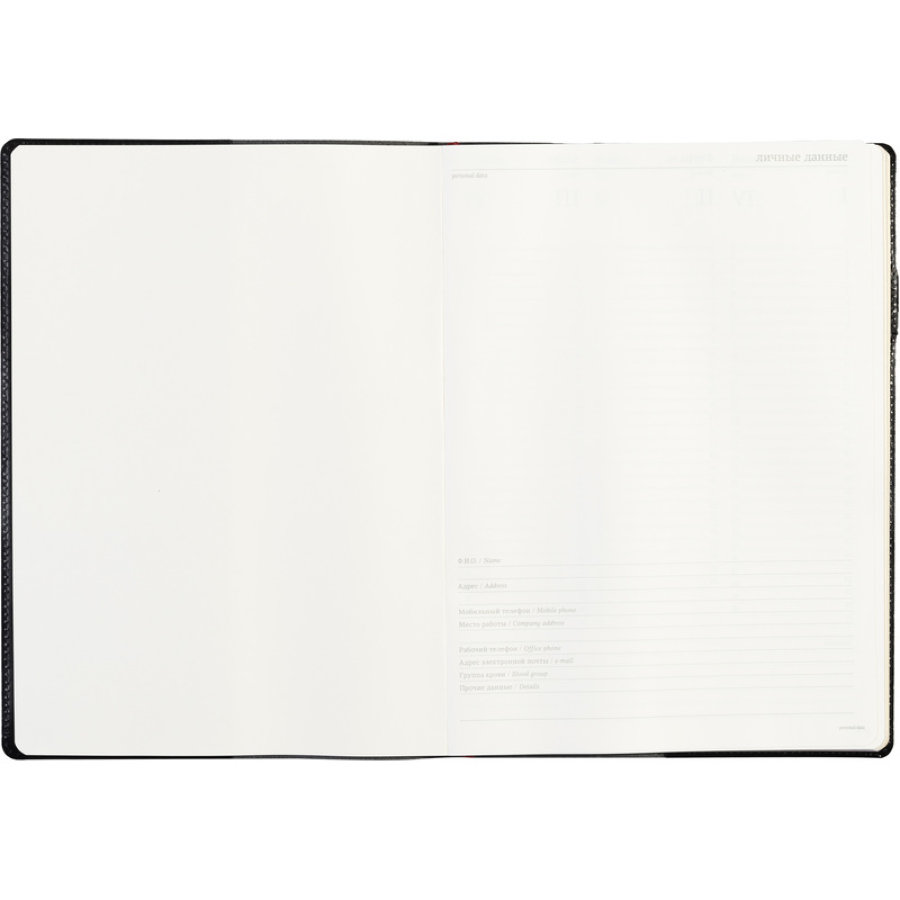Еженедельник недатированный, черный, кожа, A4, , 64л, Br.V.PROFY