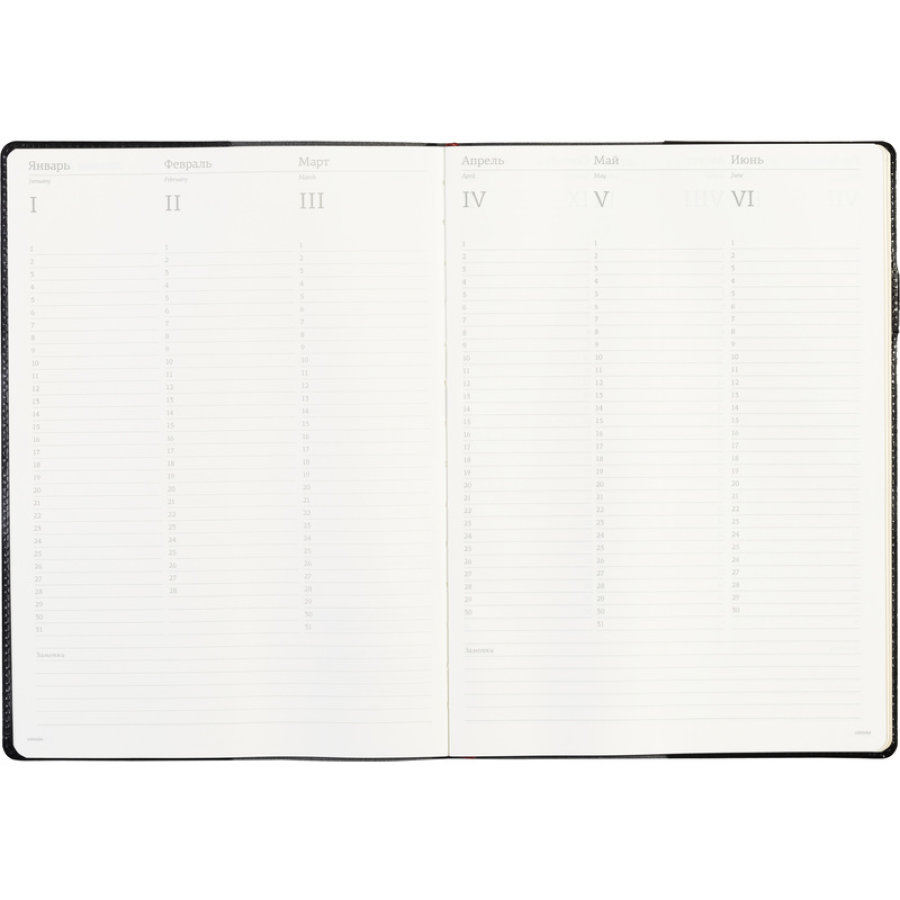 Еженедельник недатированный, черный, кожа, A4, , 64л, Br.V.PROFY