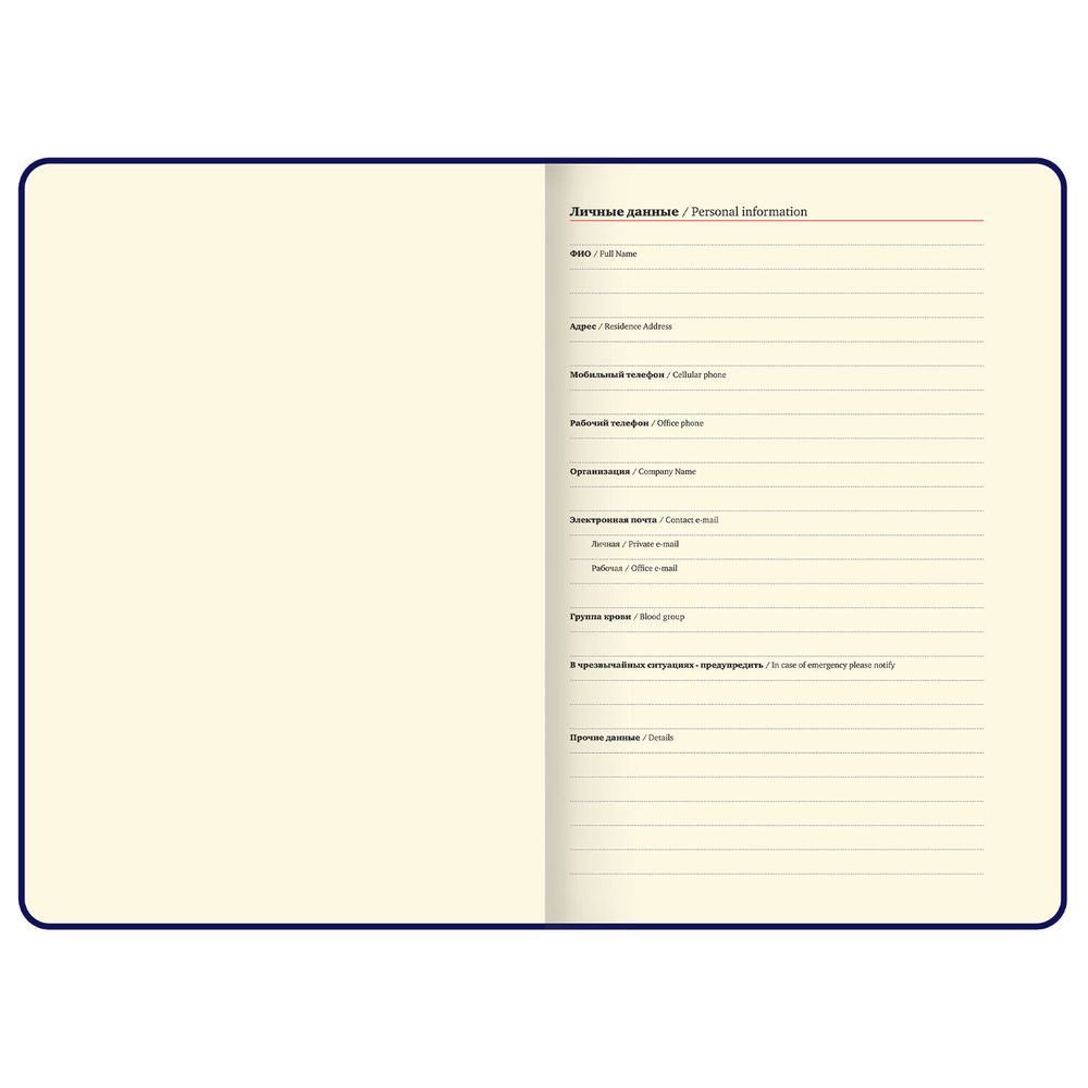 Ежедневник недатированный А5 138х213мм BRAUBERG Nebula, под кожу, застежка 160л, синий микс