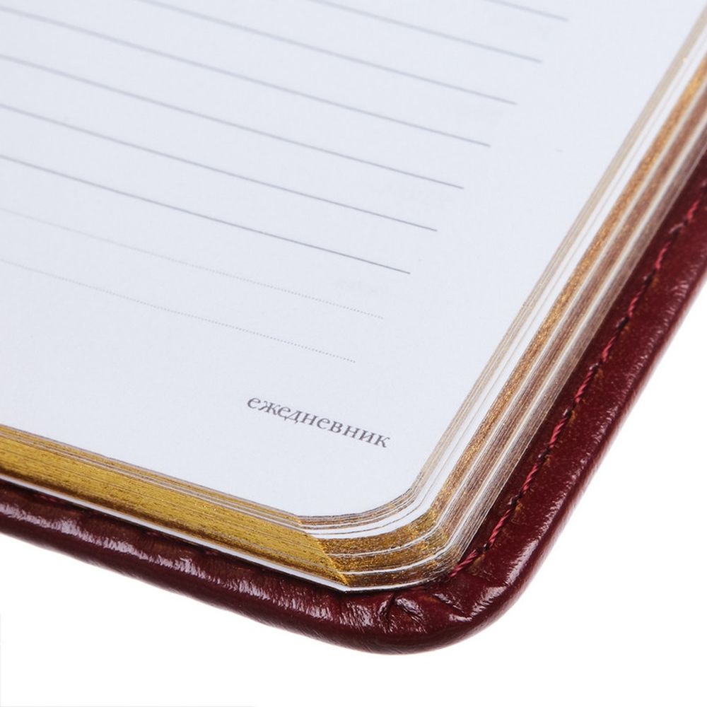 Ежедневник недатированный  A6+, 136л, SIDNEY NEBRASKA бордовый