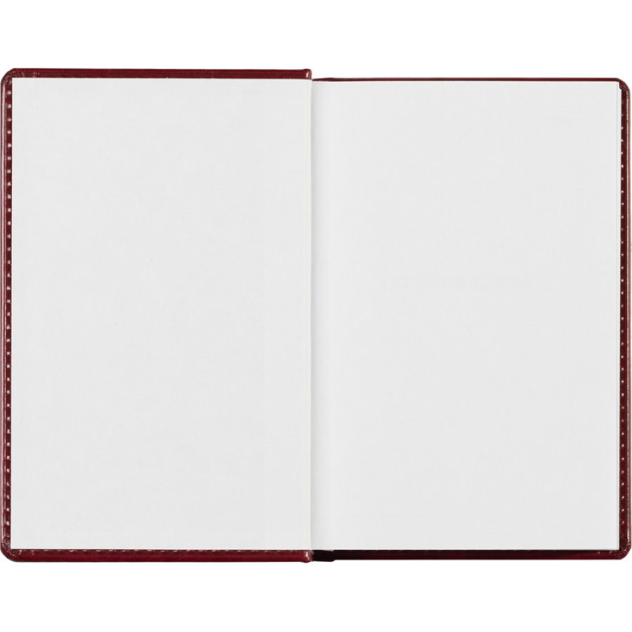 Ежедневник недатированный бордо, А6, 100x150, 320стр, Agenda