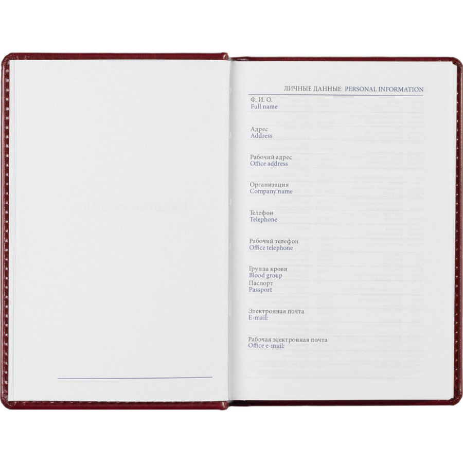 Ежедневник недатированный бордо, А6, 100x150, 320стр, Agenda