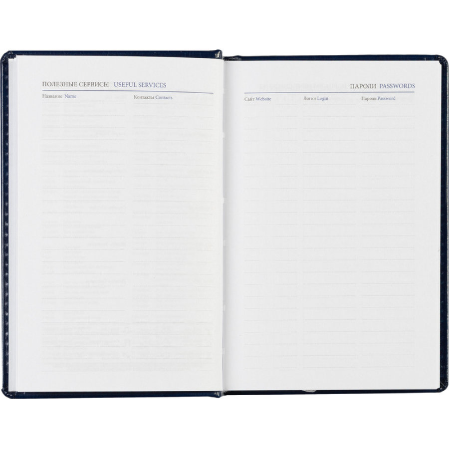 Ежедневник недатированный синий, А6, 100x150, 320стр, Agenda