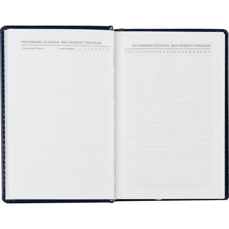 Ежедневник недатированный синий, А6, 100x150, 320стр, Agenda