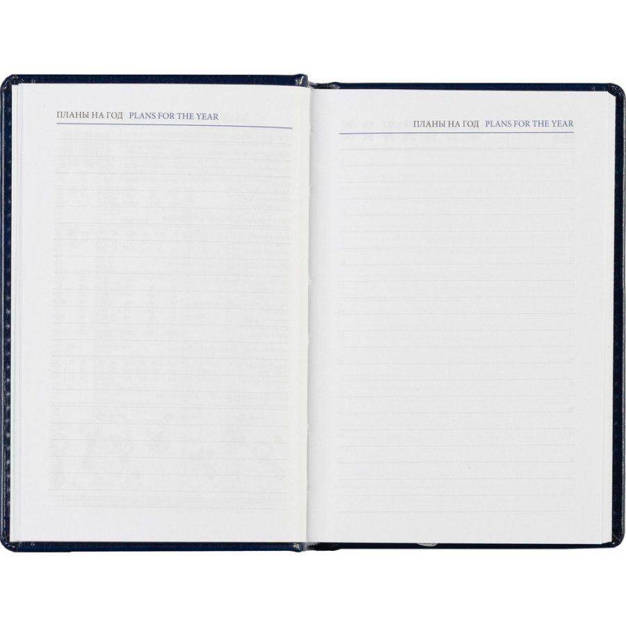 Ежедневник недатированный синий, А6, 100x150, 320стр, Agenda