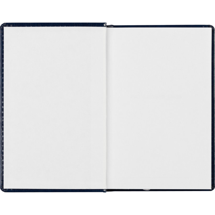 Ежедневник недатированный синий, А6, 100x150, 320стр, Agenda
