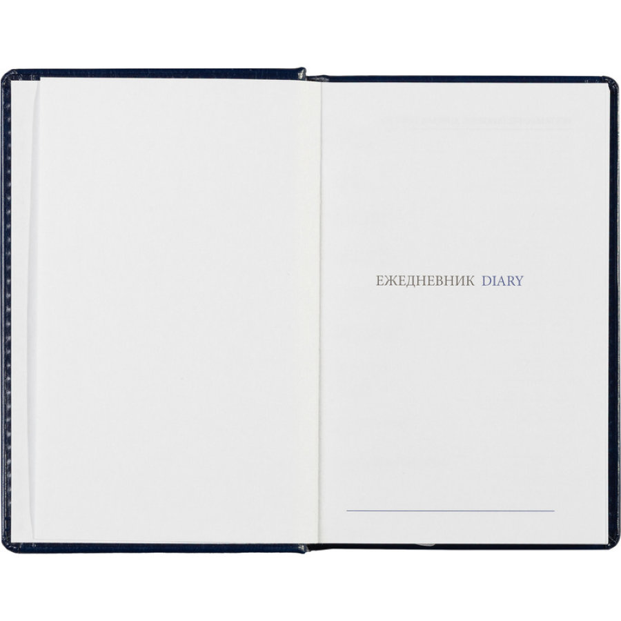 Ежедневник недатированный синий, А6, 100x150, 320стр, Agenda