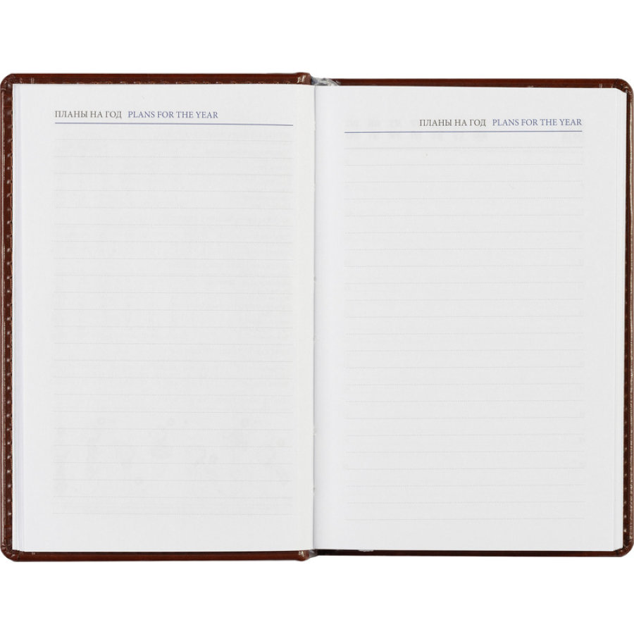 Ежедневник недатированный коричневый, А6, 100x150, 320стр, Agenda