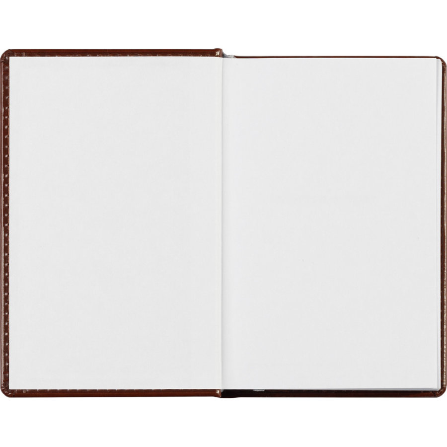 Ежедневник недатированный коричневый, А6, 100x150, 320стр, Agenda